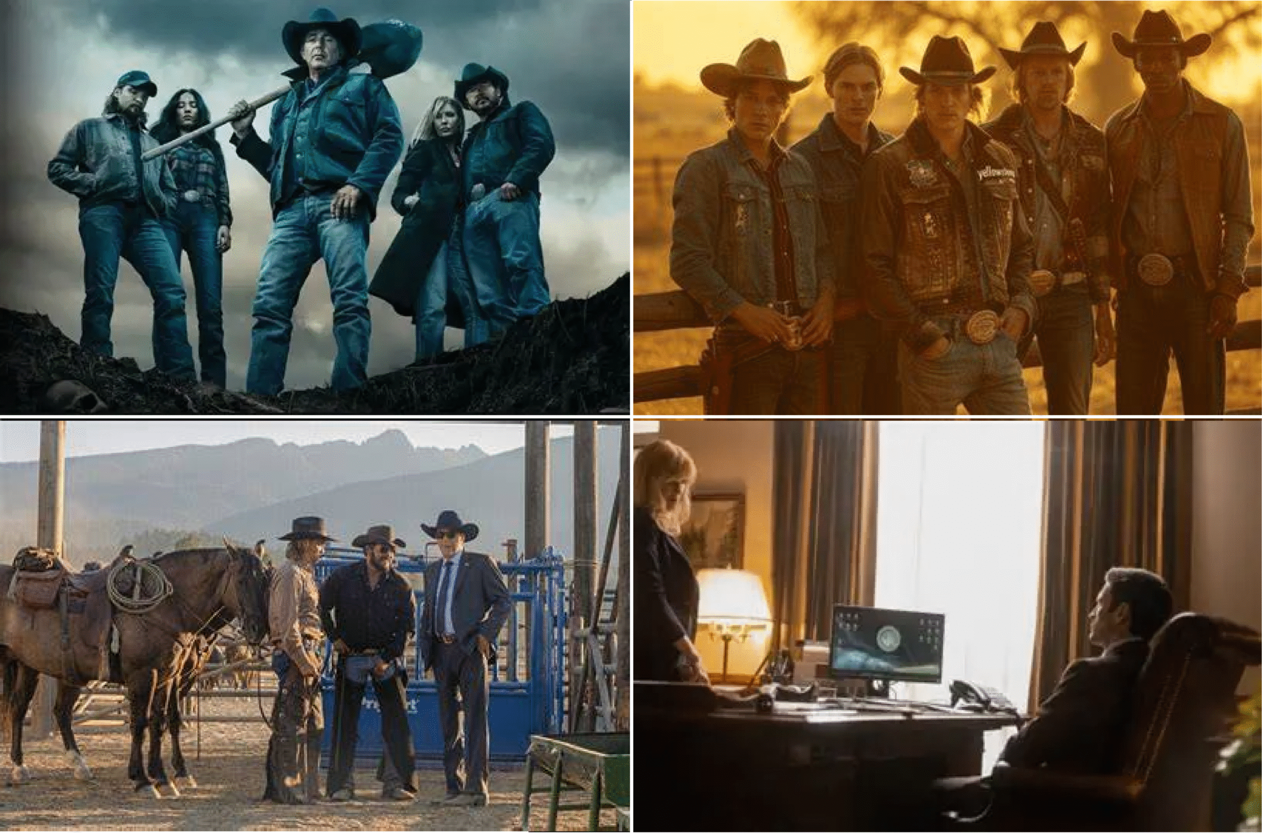 Distribution de Yellowstone